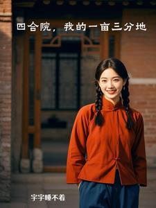 四合院：我的一亩三分地